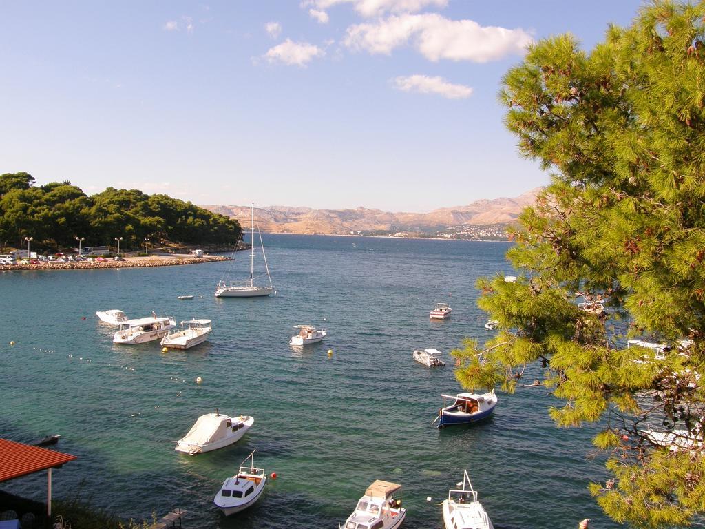 Huoneisto Vanda Seafront Fantastic *